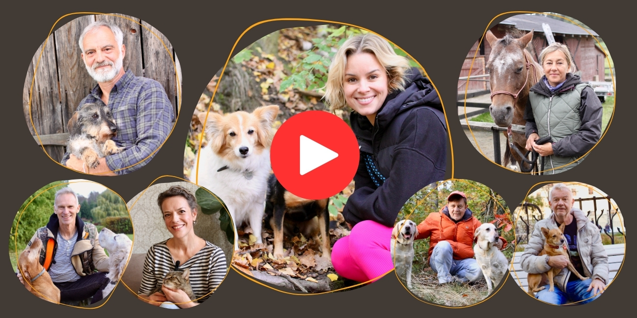 vanocni_sbirka_video